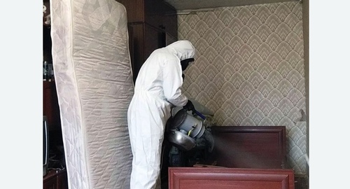Дезинфекция от клопов в Братске